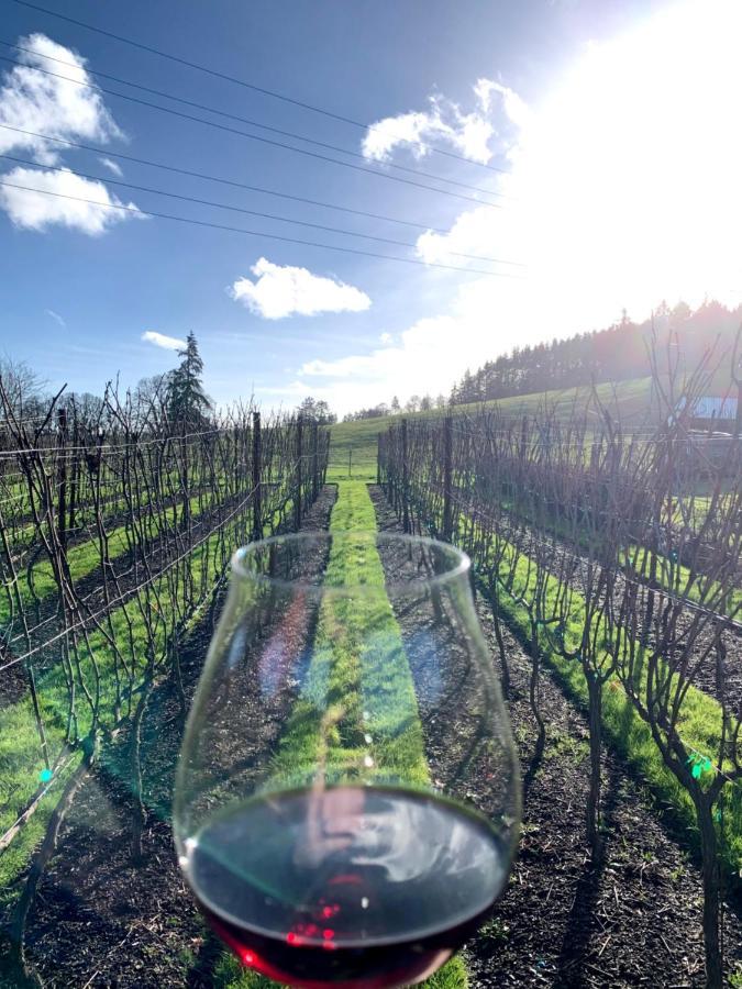 The Setting Inn Willamette Valley 纽伯格 外观 照片